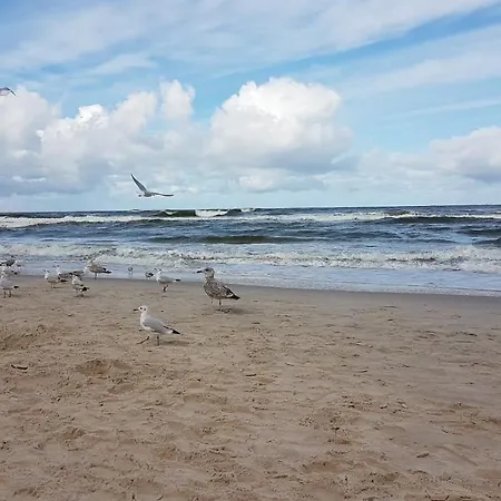 Ancora, Jastrzebia Gora, Przy Plazy