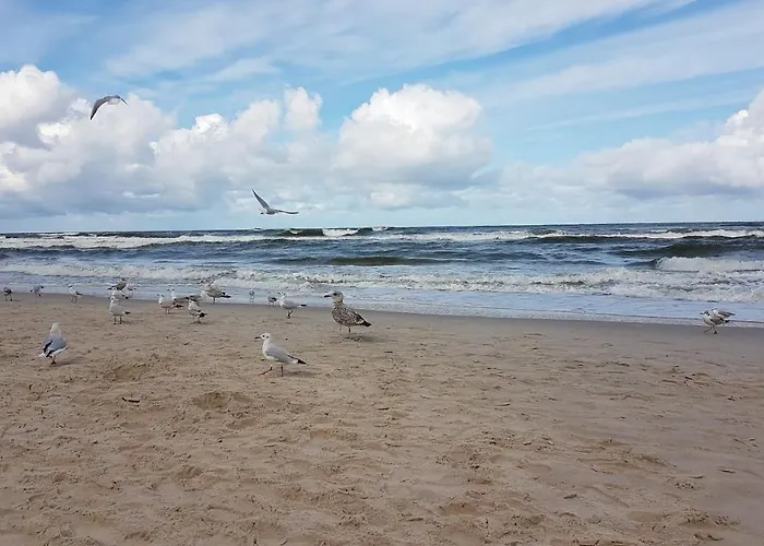Ancora, Jastrzębia Góra, Przy Plaży